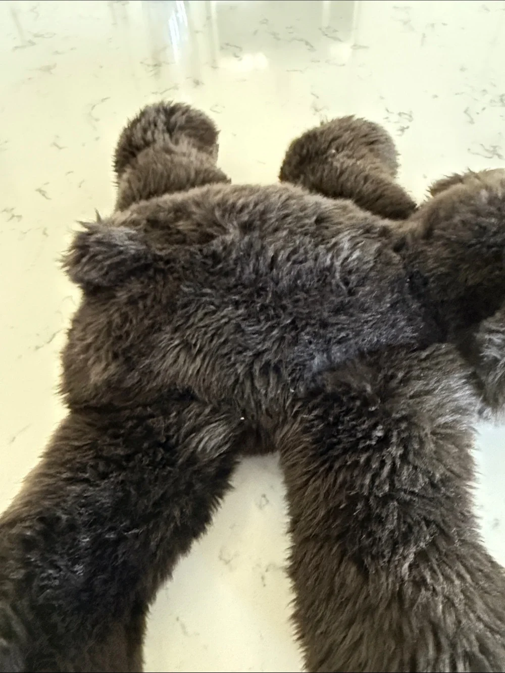 Pottery Barn Andrew Dark Brown Bear plush stuffy